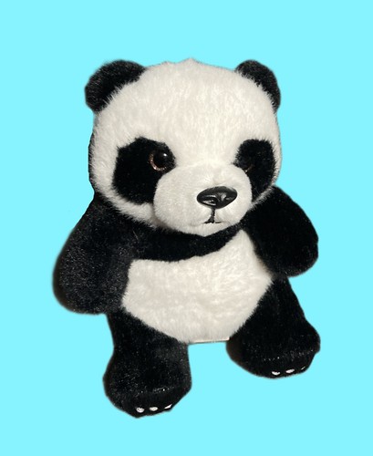 Seltener japanischer panda - seltener,